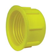 Female Threaded Plug - Plastic 1TPF