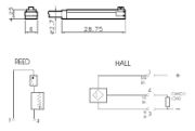 Reed Switch rsw